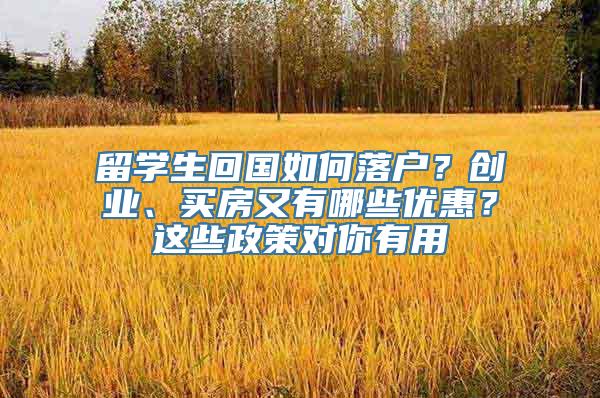 留学生回国如何落户？创业、买房又有哪些优惠？这些政策对你有用