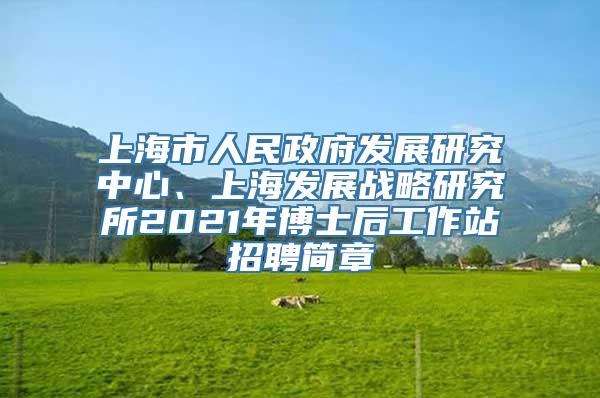 上海市人民政府发展研究中心、上海发展战略研究所2021年博士后工作站招聘简章