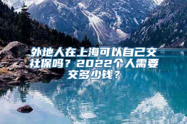 外地人在上海可以自己交社保吗？2022个人需要交多少钱？