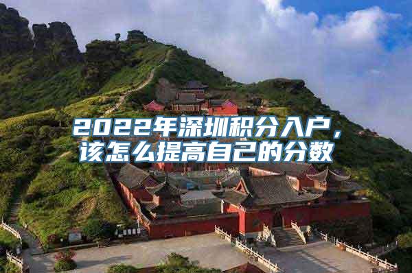 2022年深圳积分入户，该怎么提高自己的分数