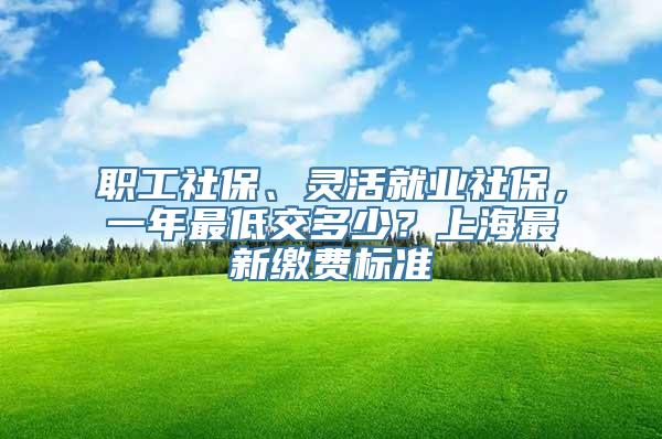 职工社保、灵活就业社保，一年最低交多少？上海最新缴费标准