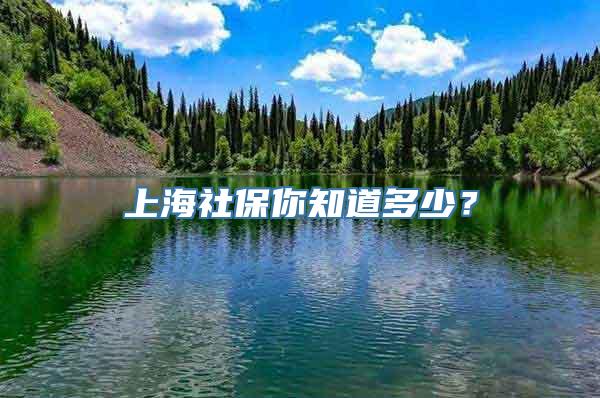 上海社保你知道多少？