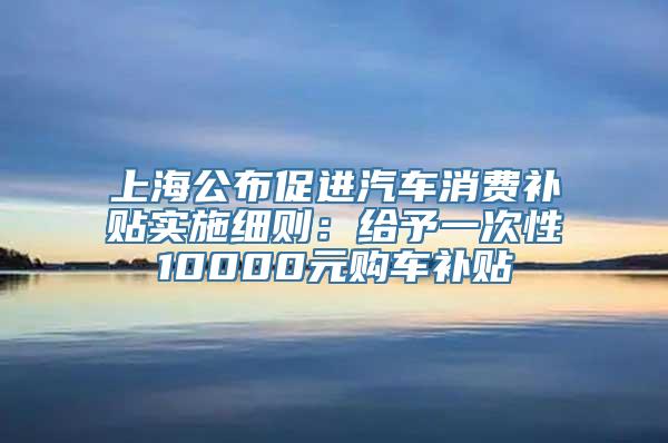 上海公布促进汽车消费补贴实施细则：给予一次性10000元购车补贴