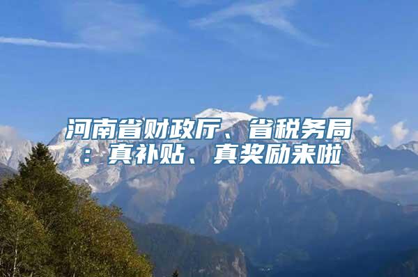 河南省财政厅、省税务局：真补贴、真奖励来啦