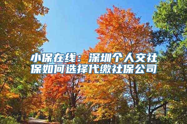 小保在线：深圳个人交社保如何选择代缴社保公司