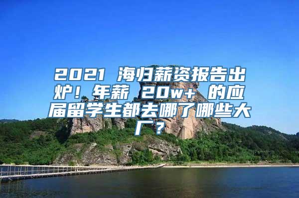 2021 海归薪资报告出炉！年薪 20w+ 的应届留学生都去哪了哪些大厂？