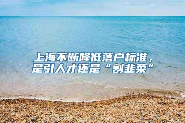 上海不断降低落户标准，是引人才还是“割韭菜”