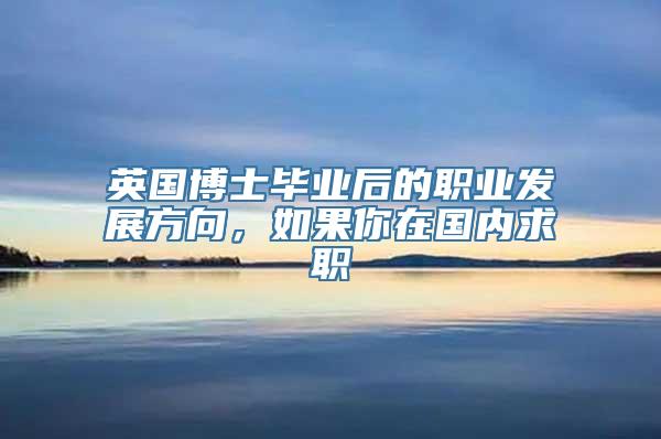 英国博士毕业后的职业发展方向，如果你在国内求职