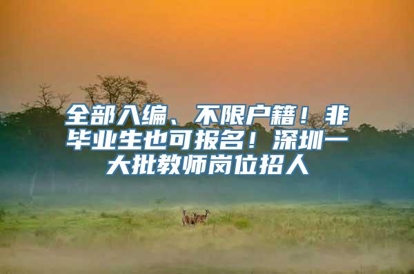 全部入编、不限户籍！非毕业生也可报名！深圳一大批教师岗位招人