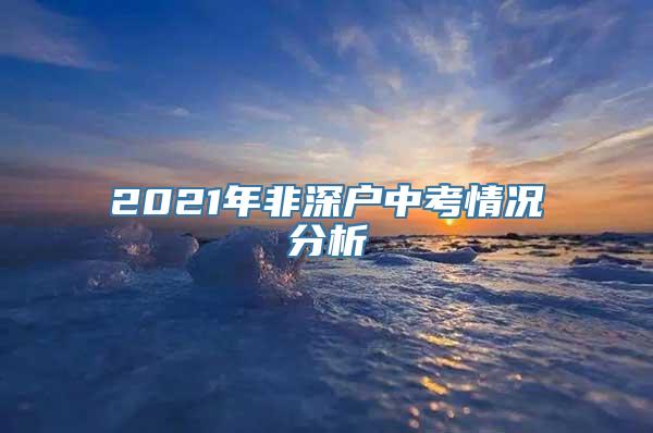 2021年非深户中考情况分析