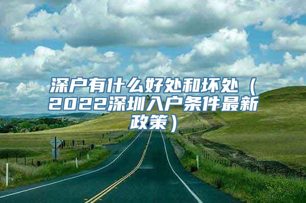 深户有什么好处和坏处（2022深圳入户条件最新政策）