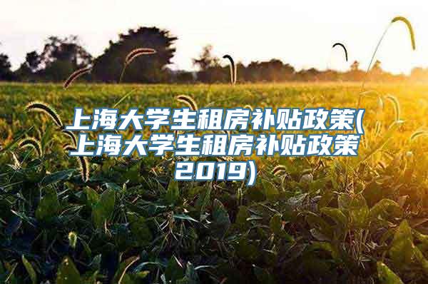 上海大学生租房补贴政策(上海大学生租房补贴政策2019)