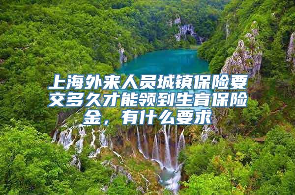 上海外来人员城镇保险要交多久才能领到生育保险金，有什么要求