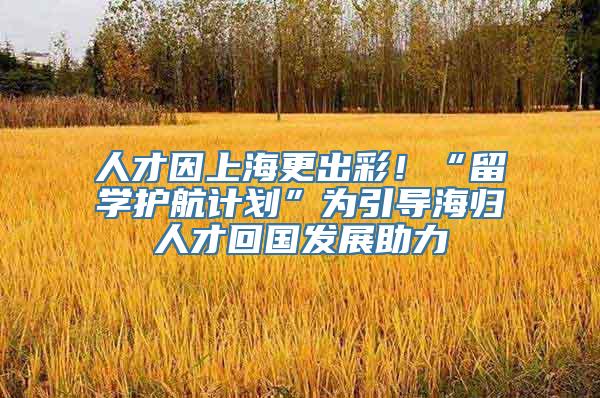 人才因上海更出彩！“留学护航计划”为引导海归人才回国发展助力