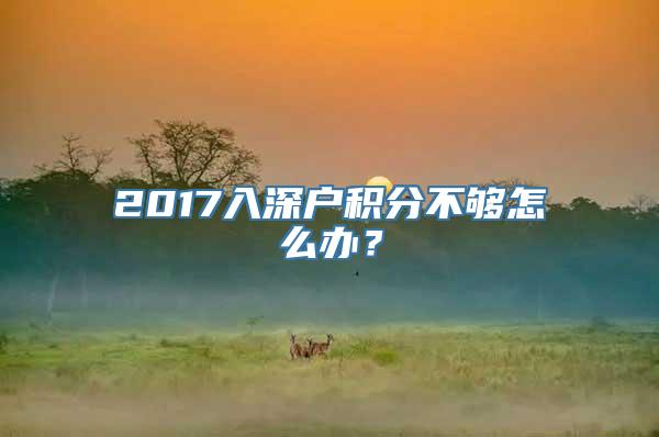 2017入深户积分不够怎么办？