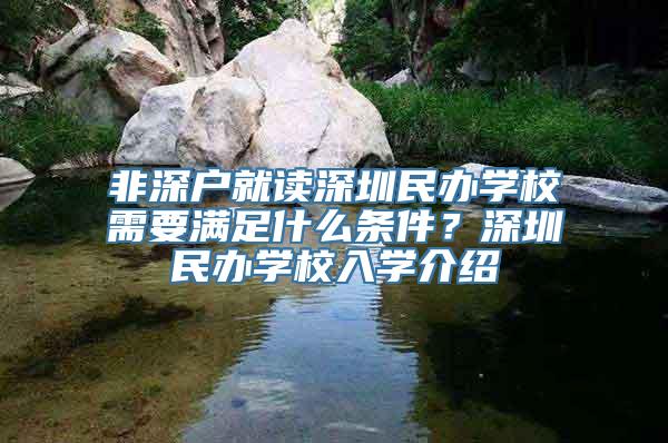 非深户就读深圳民办学校需要满足什么条件？深圳民办学校入学介绍