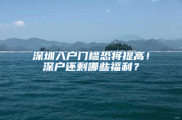 深圳入户门槛恐将提高！深户还剩哪些福利？