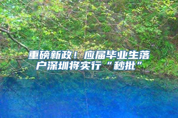 重磅新政！应届毕业生落户深圳将实行“秒批”