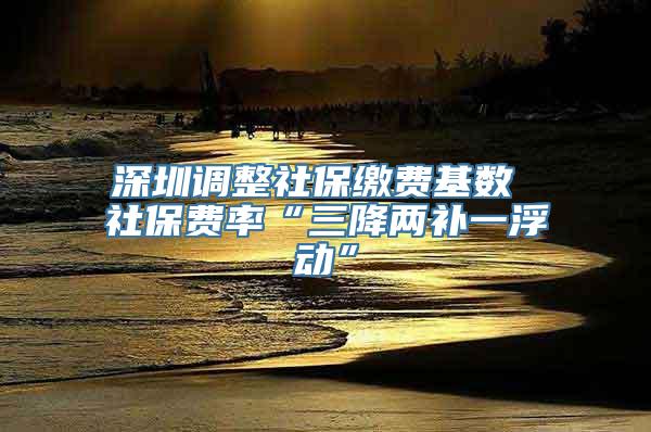 深圳调整社保缴费基数 社保费率“三降两补一浮动”