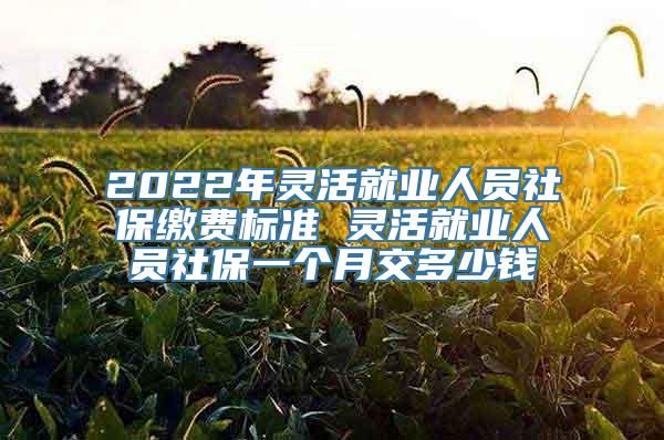 2022年灵活就业人员社保缴费标准 灵活就业人员社保一个月交多少钱