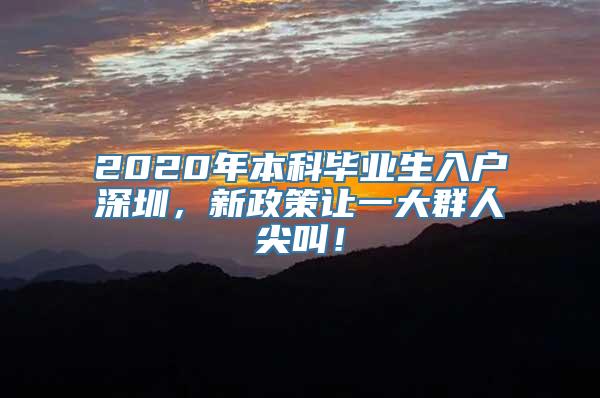 2020年本科毕业生入户深圳，新政策让一大群人尖叫！