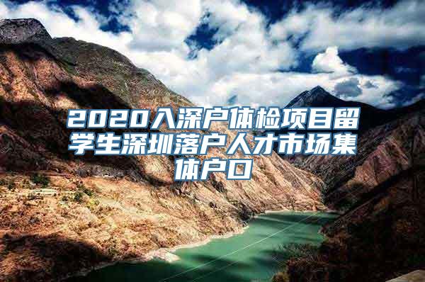 2020入深户体检项目留学生深圳落户人才市场集体户口