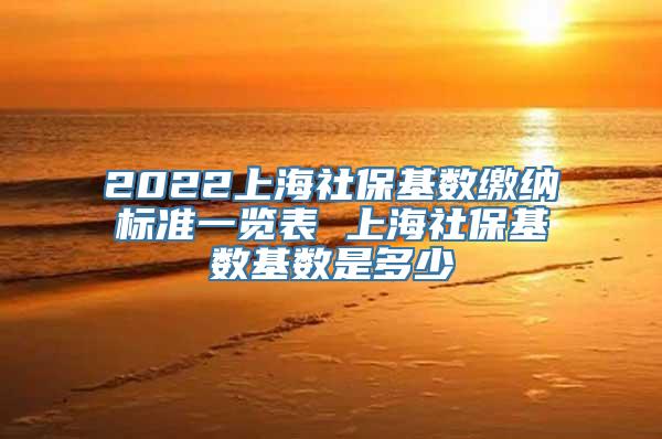 2022上海社保基数缴纳标准一览表 上海社保基数基数是多少