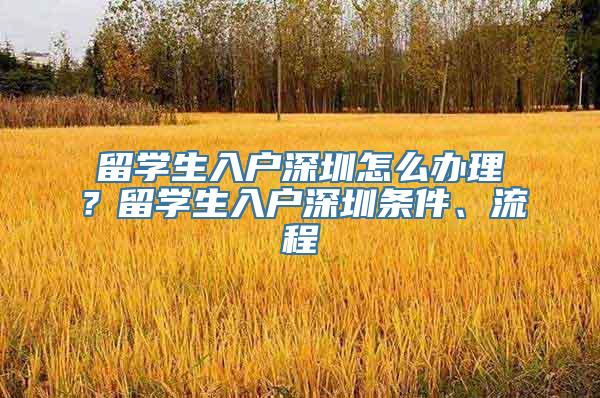 留学生入户深圳怎么办理？留学生入户深圳条件、流程