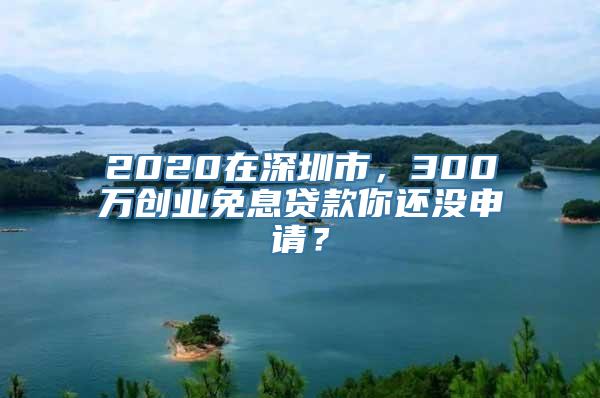 2020在深圳市，300万创业免息贷款你还没申请？