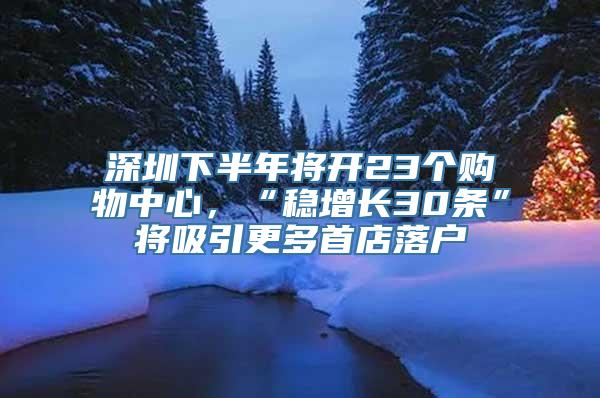 深圳下半年将开23个购物中心，“稳增长30条”将吸引更多首店落户