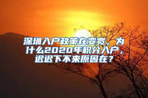 深圳入户政策在变宽，为什么2020年积分入户，迟迟下不来原因在？