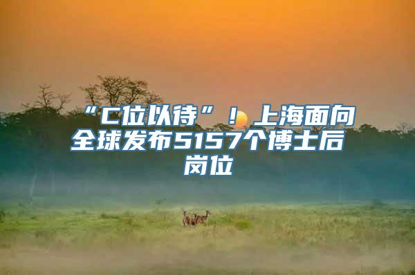 “C位以待”！上海面向全球发布5157个博士后岗位