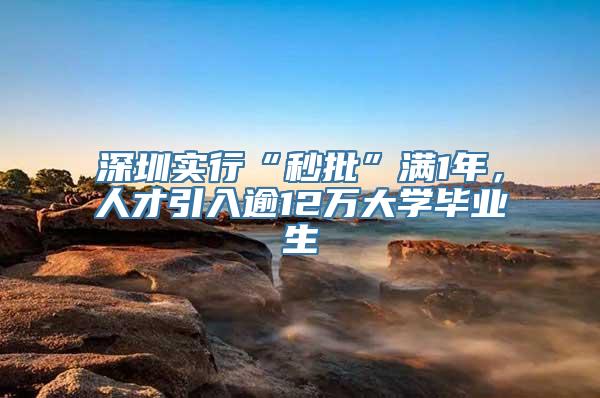 深圳实行“秒批”满1年，人才引入逾12万大学毕业生