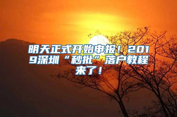 明天正式开始申报！2019深圳“秒批”落户教程来了！