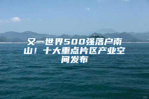 又一世界500强落户南山！十大重点片区产业空间发布