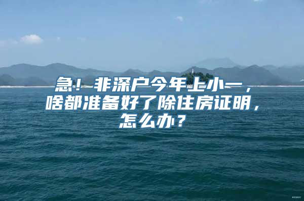 急！非深户今年上小一，啥都准备好了除住房证明，怎么办？