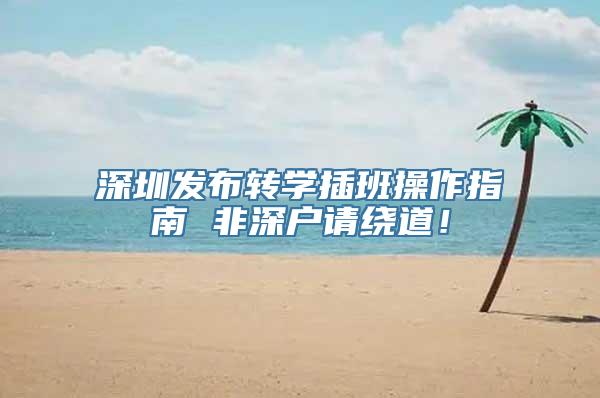 深圳发布转学插班操作指南 非深户请绕道！