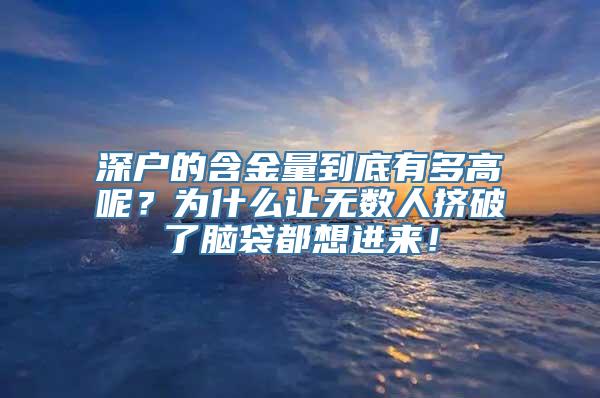 深户的含金量到底有多高呢？为什么让无数人挤破了脑袋都想进来！