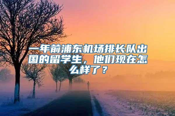 一年前浦东机场排长队出国的留学生，他们现在怎么样了？