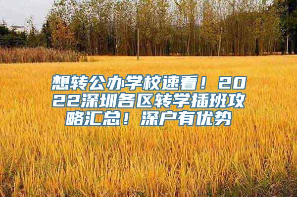 想转公办学校速看！2022深圳各区转学插班攻略汇总！深户有优势