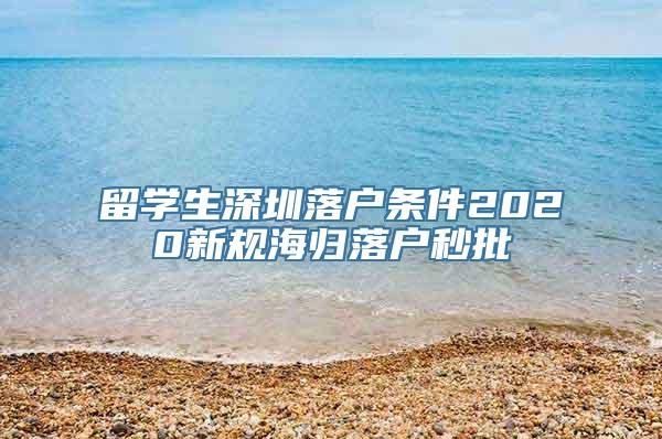 留学生深圳落户条件2020新规海归落户秒批