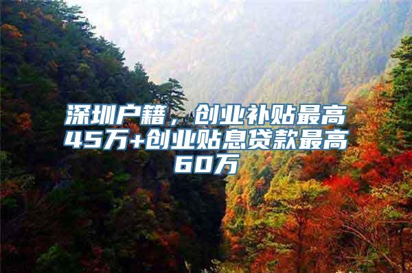 深圳户籍，创业补贴最高45万+创业贴息贷款最高60万