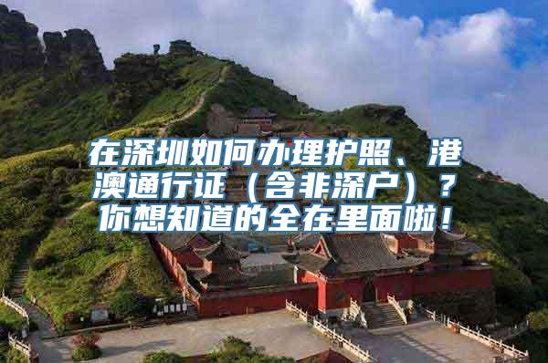 在深圳如何办理护照、港澳通行证（含非深户）？你想知道的全在里面啦！