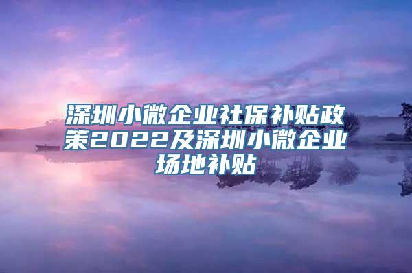 深圳小微企业社保补贴政策2022及深圳小微企业场地补贴