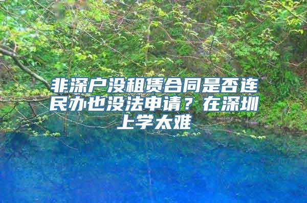 非深户没租赁合同是否连民办也没法申请？在深圳上学太难