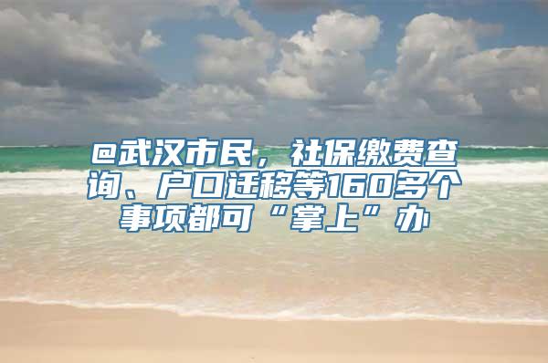 @武汉市民，社保缴费查询、户口迁移等160多个事项都可“掌上”办