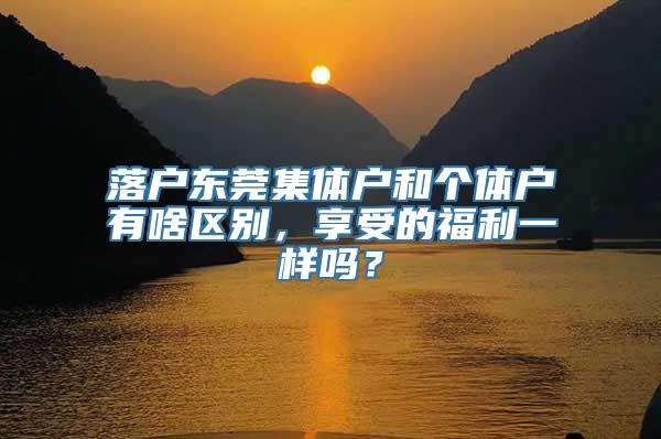 落户东莞集体户和个体户有啥区别，享受的福利一样吗？