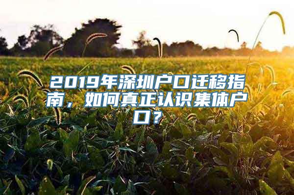 2019年深圳户口迁移指南，如何真正认识集体户口？