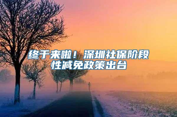 终于来啦！深圳社保阶段性减免政策出台