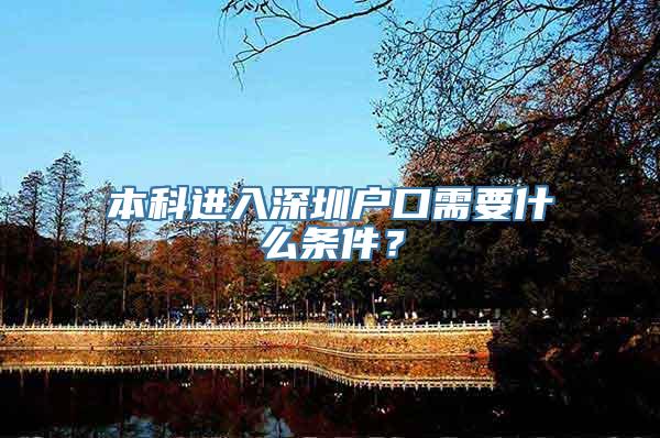 本科进入深圳户口需要什么条件？